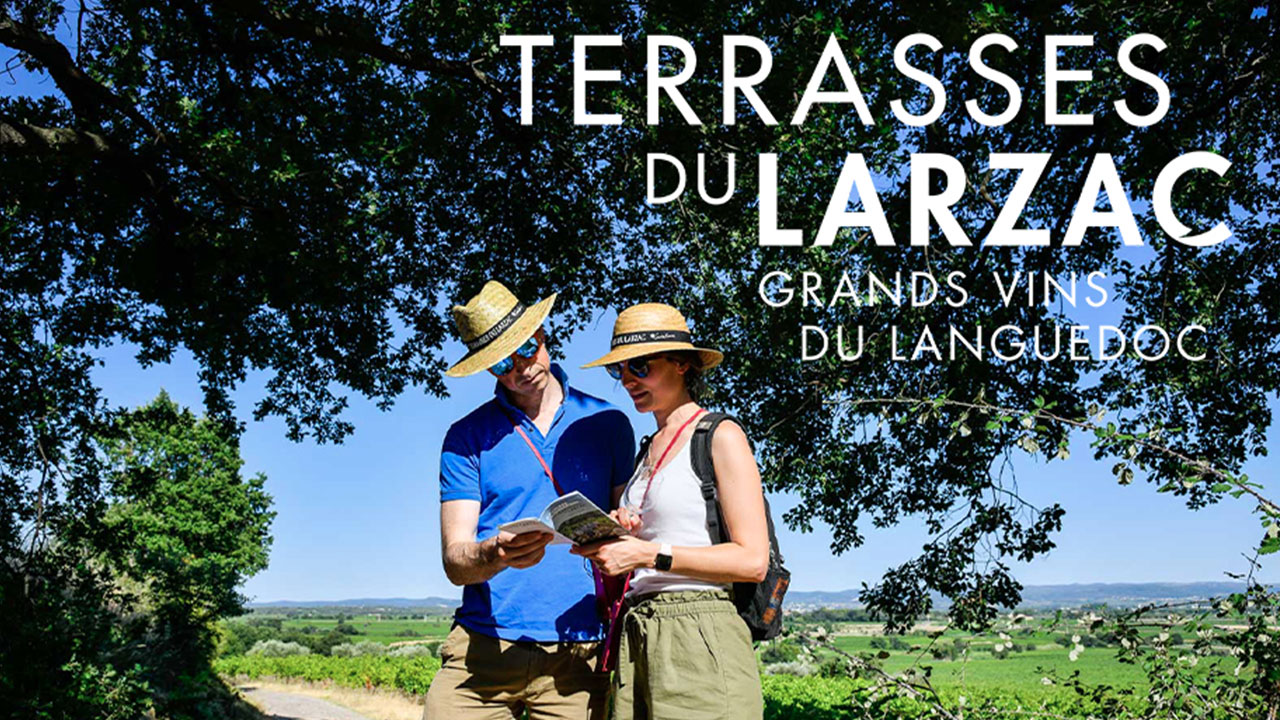 Balade Sonore - Terrasses du Larzac - Le vignoble 2.0